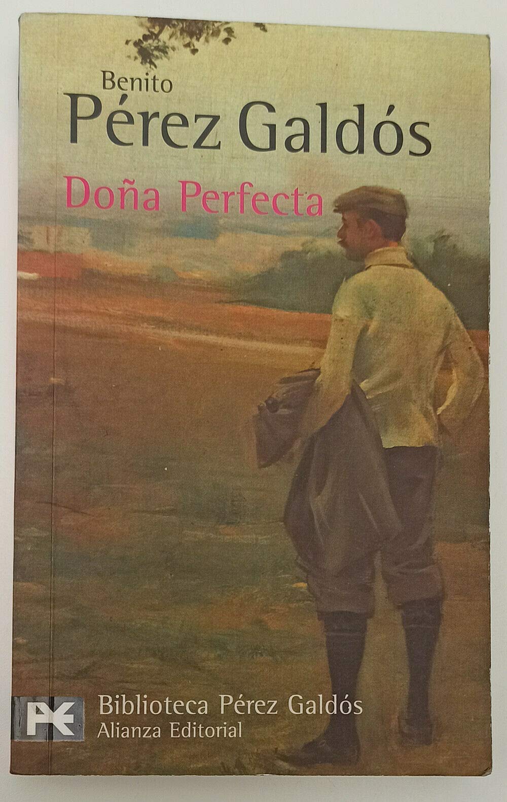 Doña Perfecta (El Libro De Bolsillo - Bibliotecas De Autor - Biblioteca Pérez Galdós) Contemporary literature