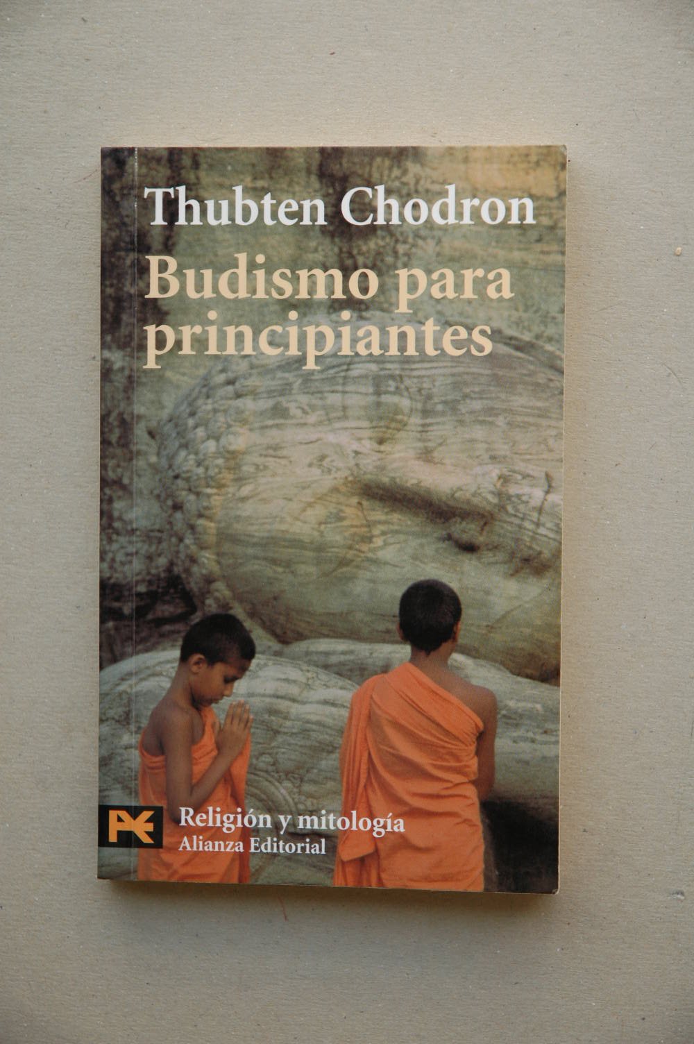 Budismo para principiantes (El Libro De Bolsillo - Humanidades, Band 4108) Philosophy