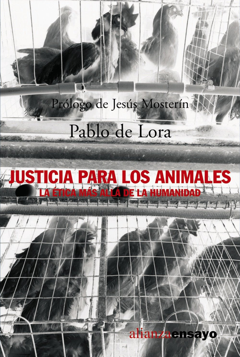 Justicia para los animales : la ética más allá de la humanidad book