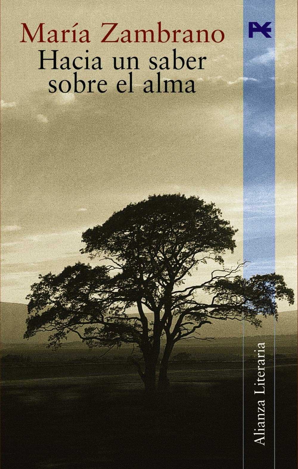 Hacia un saber sobre el alma / Towards know about the soul book