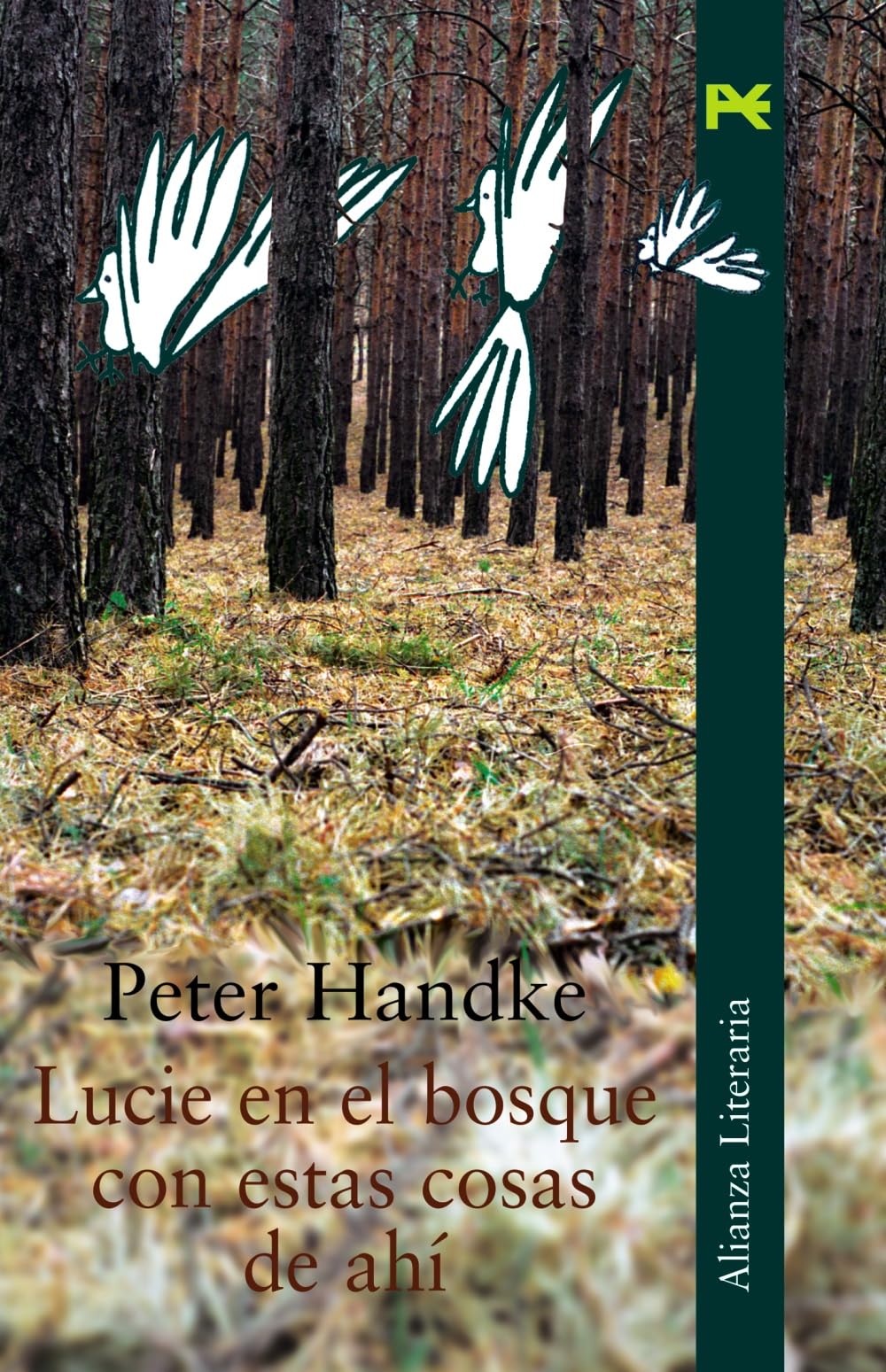 Lucie en el bosque con estas cosas de ahi / Lucie in the woods with these things there: Una Historia / an History book
