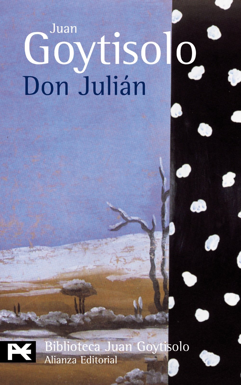 Don Julián Historical Fiction