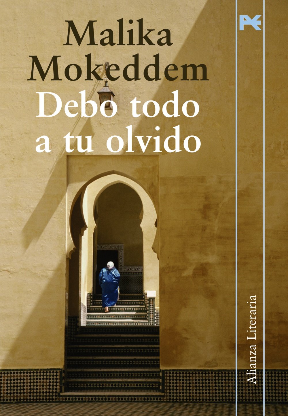 Debo todo a tu olvido (Alianza Literaria (AL)) Contemporary literature