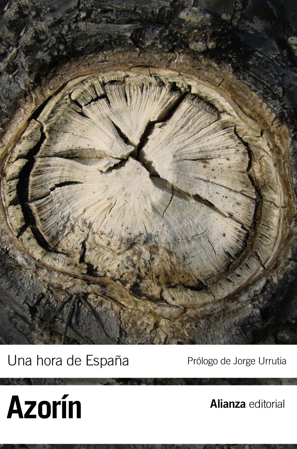 Una hora de España : (entre 1560 y 1590) (El libro de bolsillo - Bibliotecas de autor - Biblioteca Azorín) Social Sciences