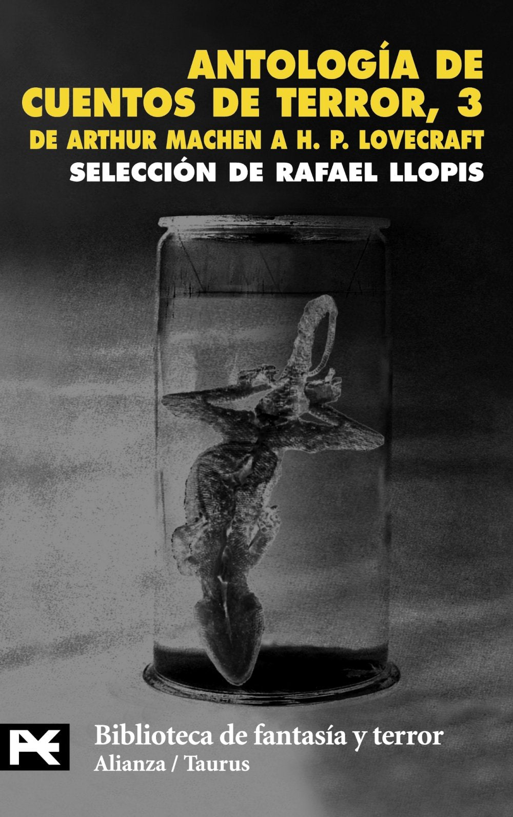 Antología de cuentos de terror/ Anthology of Horror Stories: De Arthur Machen a H.P. Lovecraft / From Arthur Machen to H.P. Lovecraft (3) book