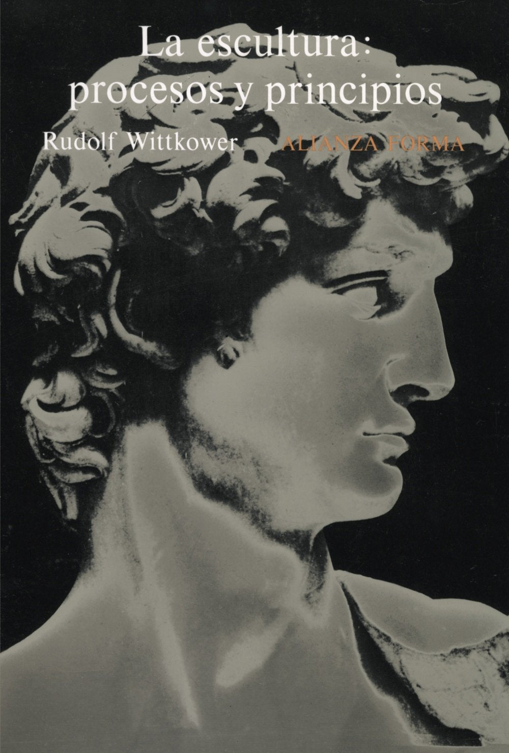 La escultura : procesos y principios Film, Art & Culture