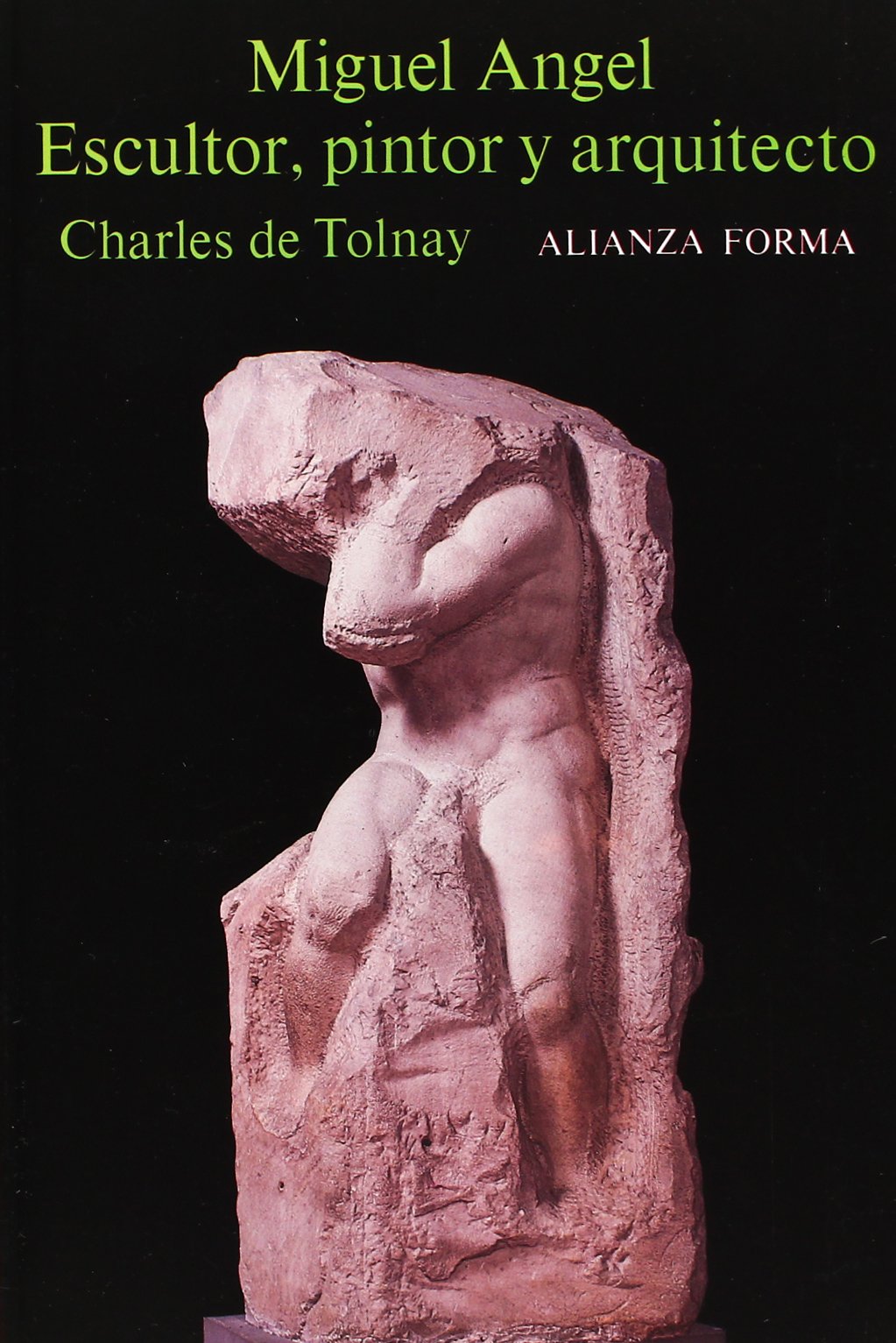 Miguel Ángel : escultor, pintor y arquitecto (Alianza forma (AF)) Memories