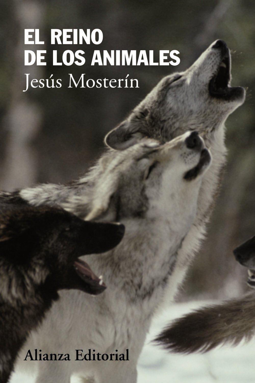 El reino de los animales book