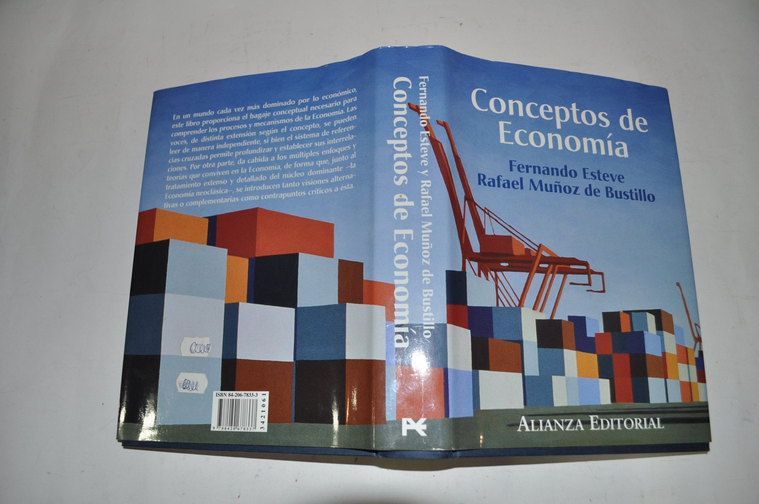 Conceptos De Economia/concepts of Economy book
