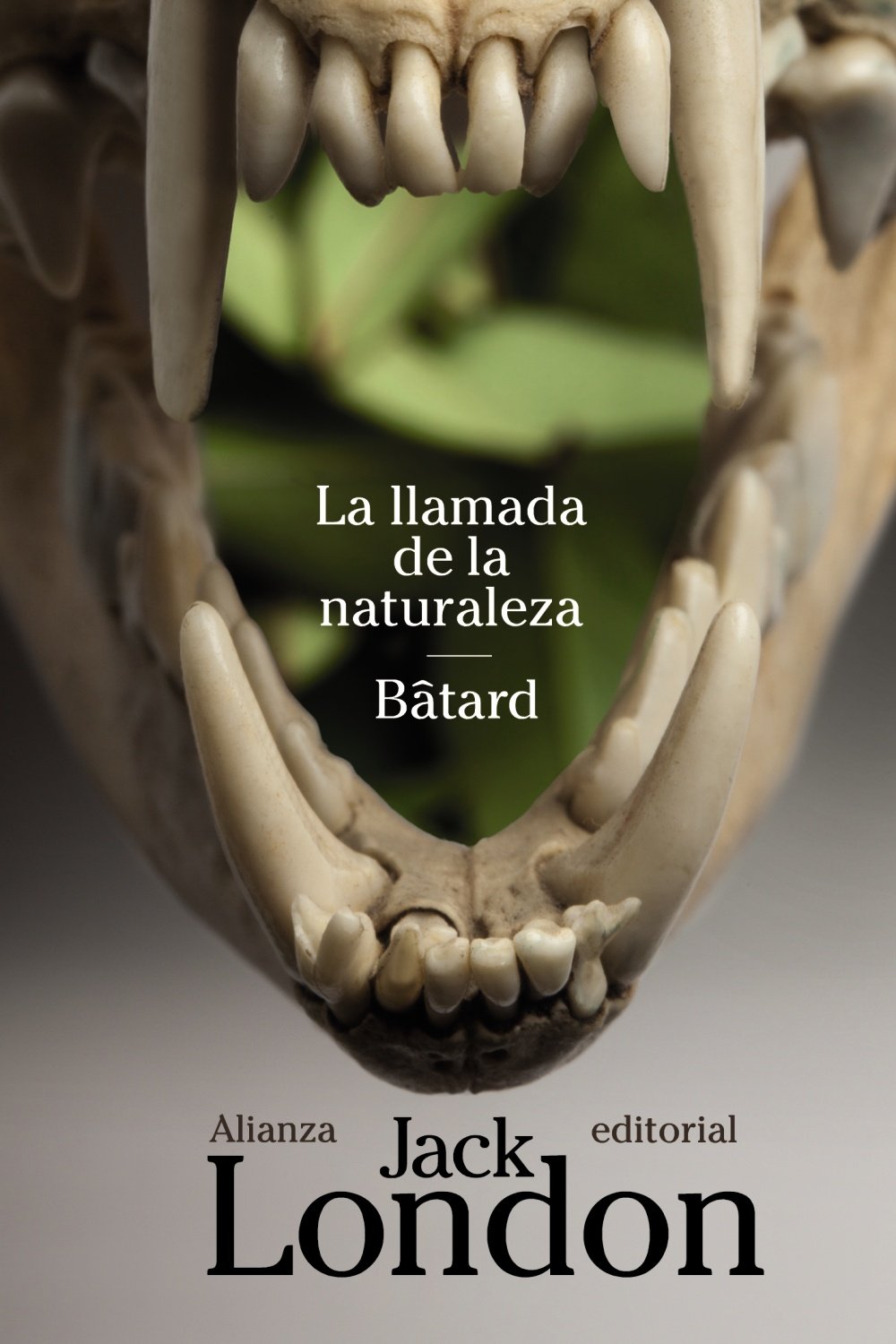 La llamada de la naturaleza Batard / The Call of the Wild and Batar book