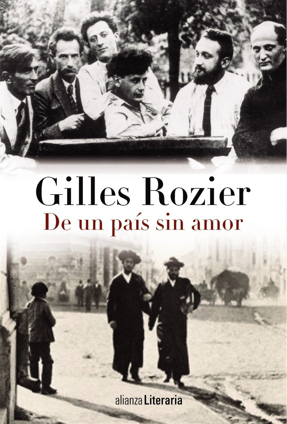 De un país sin amor (Alianza Literaria (AL)) Contemporary literature