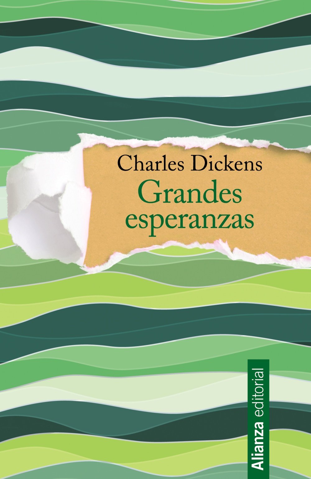 Grandes esperanzas / Great hopes book
