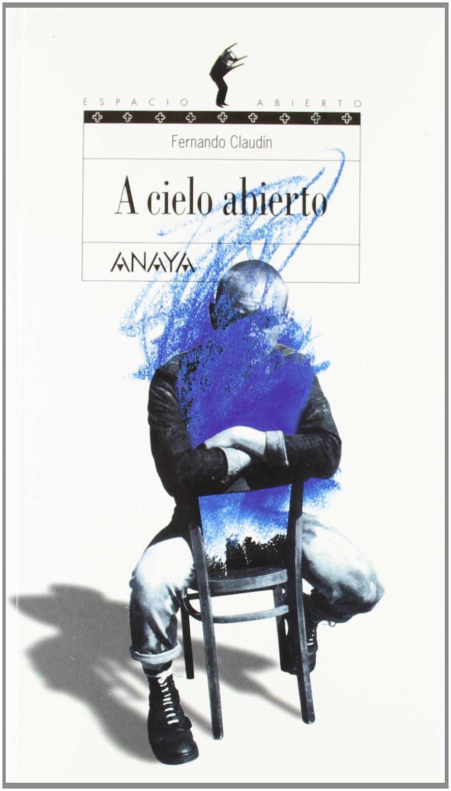 A cielo abierto (Libros Para Jóvenes - Espacio Abierto, Band 80) Non-fiction