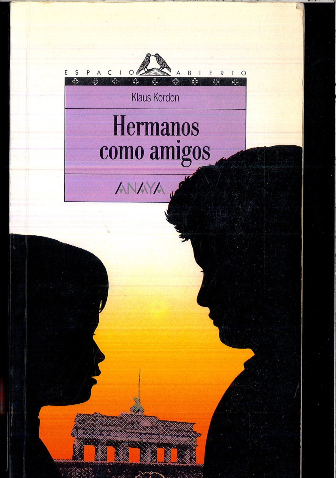 Hermanos como amigos/ Brothers like friends book