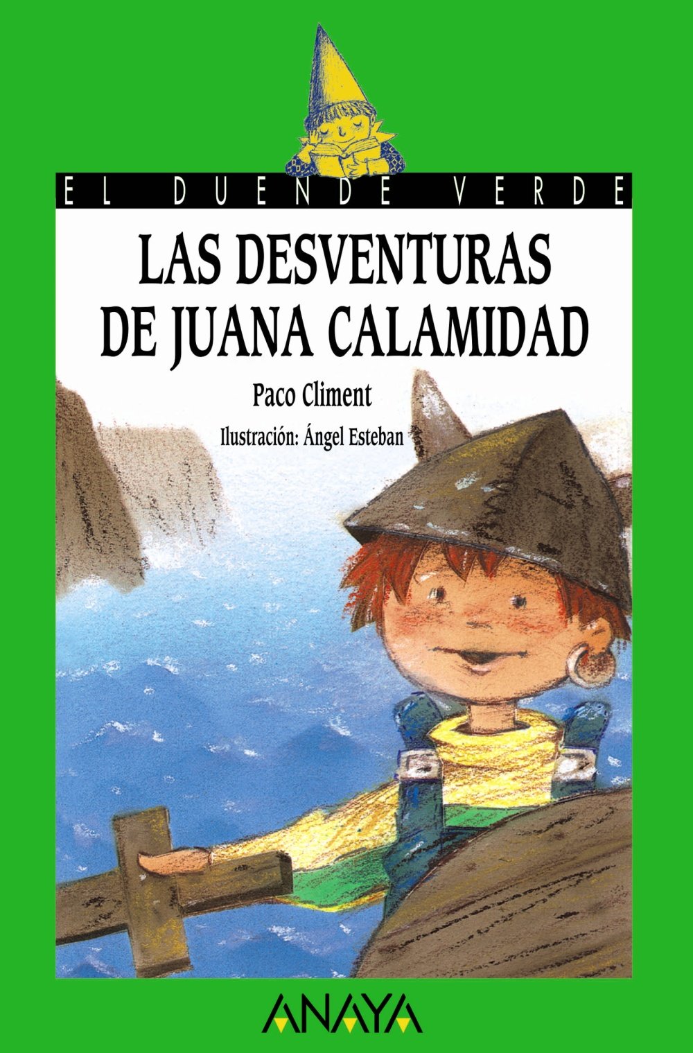 Las desventuras de Juana Calamidad / Calamity Jane's Misadventures book