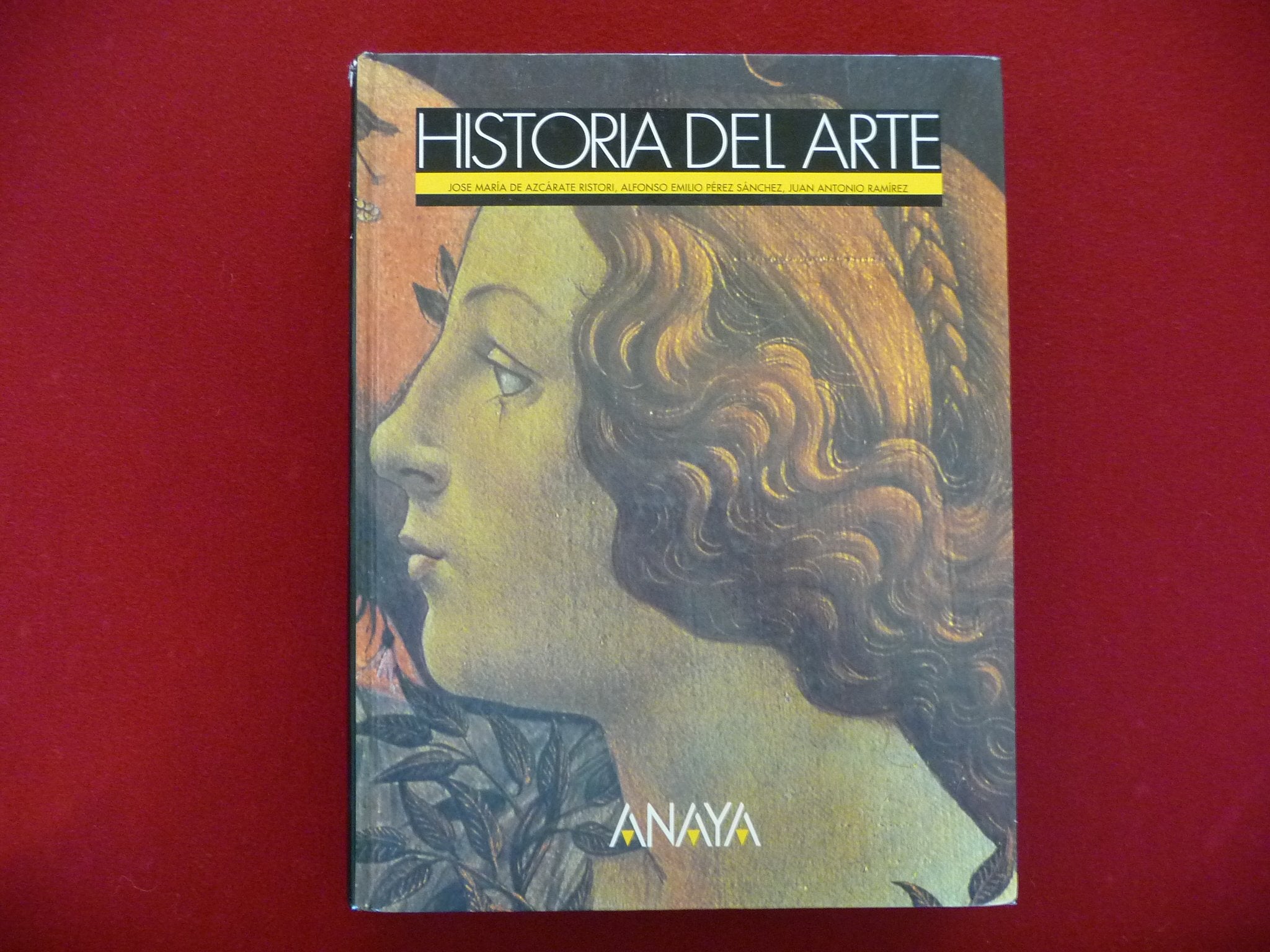 Historia del arte (cou) book