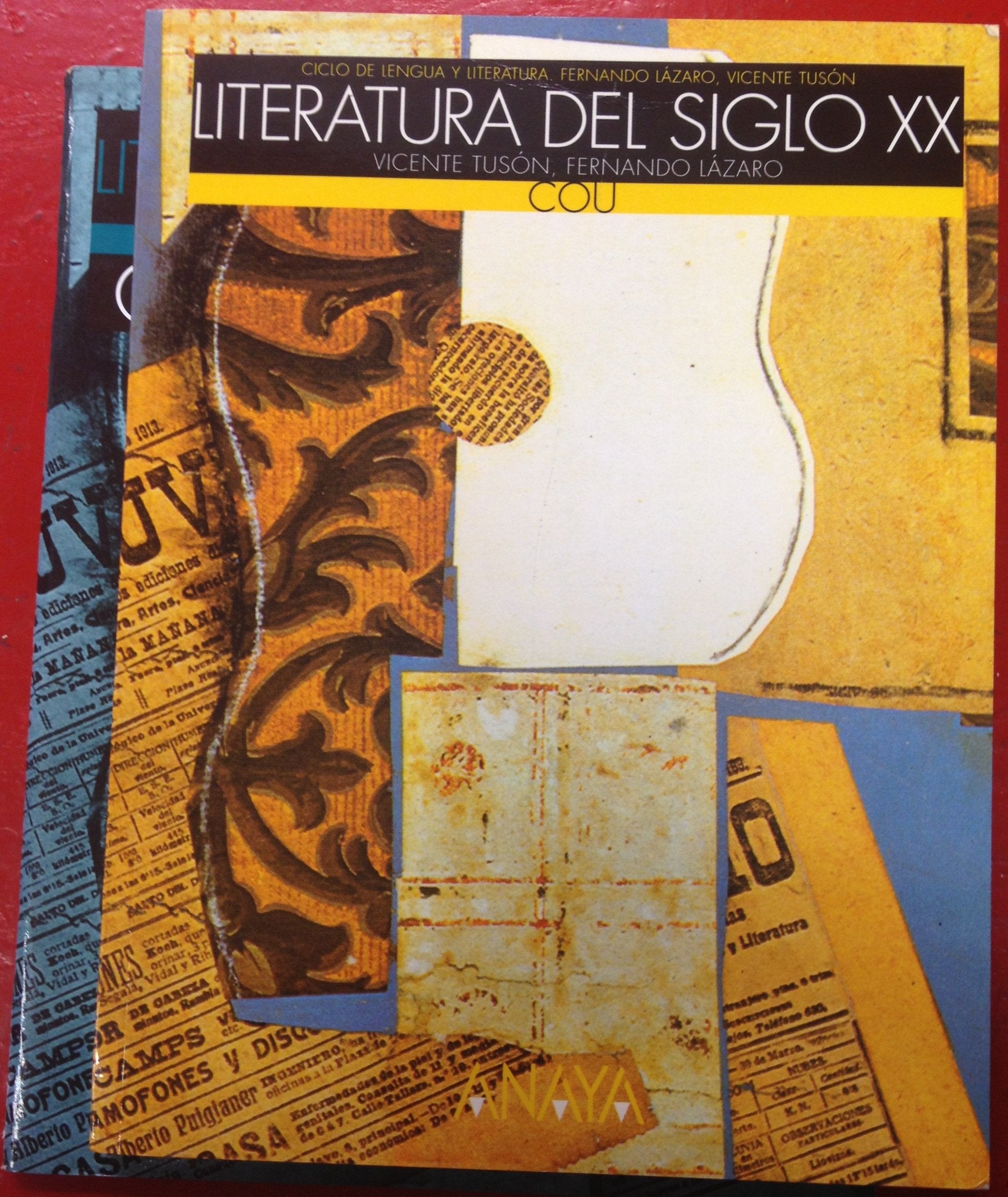 Literatura del siglo XX. Guias de lectura Books
