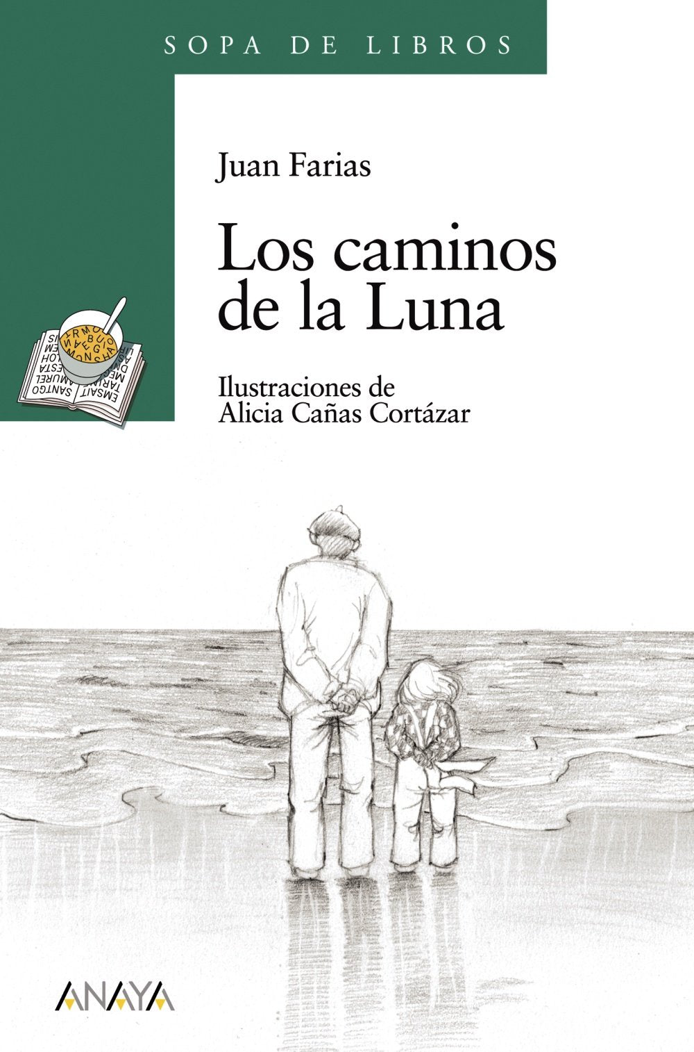Los caminos de la Luna/ The Passage to the Moon book