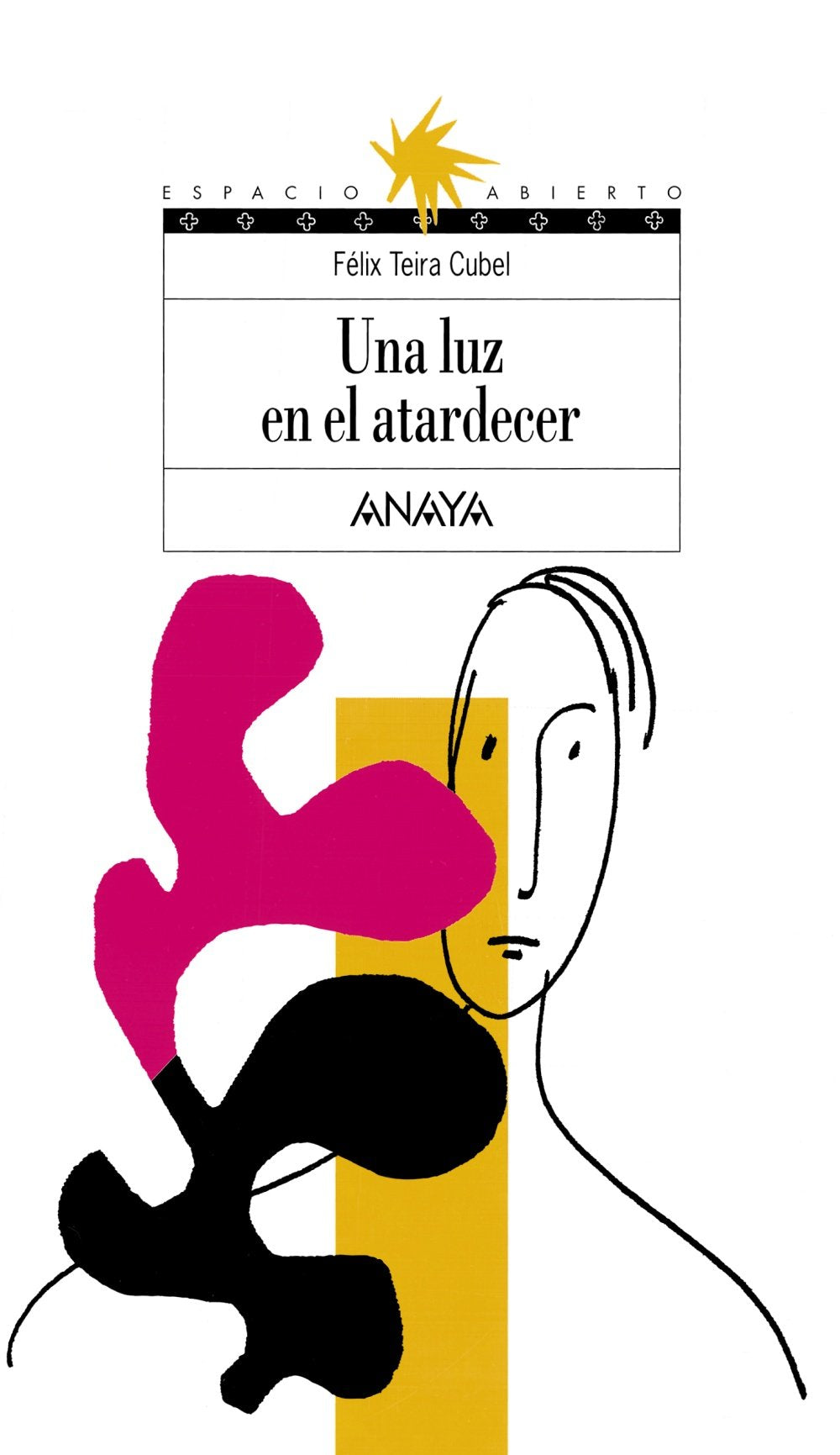 Una luz en el atardecer/ A Light in the Evening book