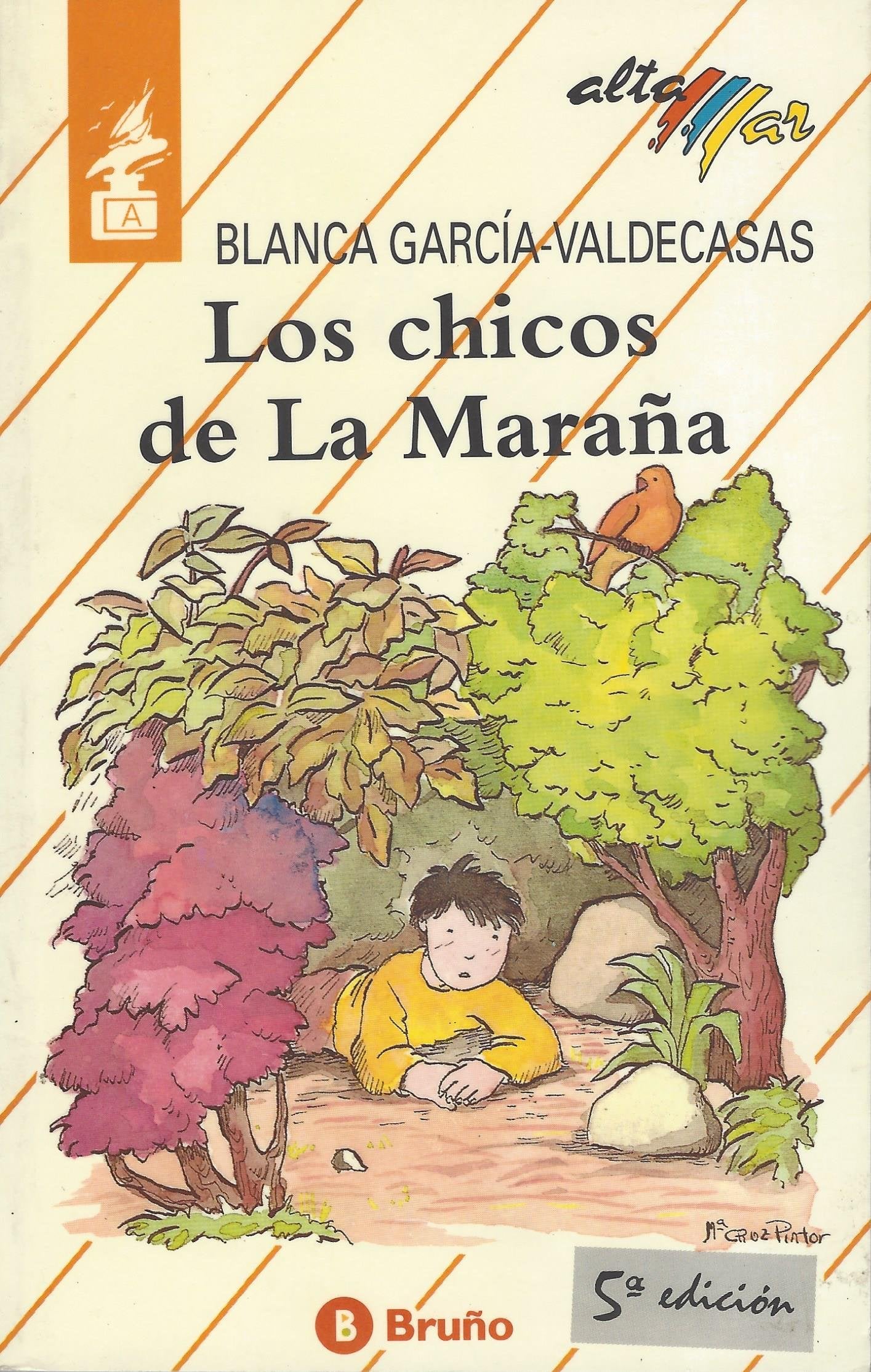 Los chicos de la marana/ The Boys in the Tangle book