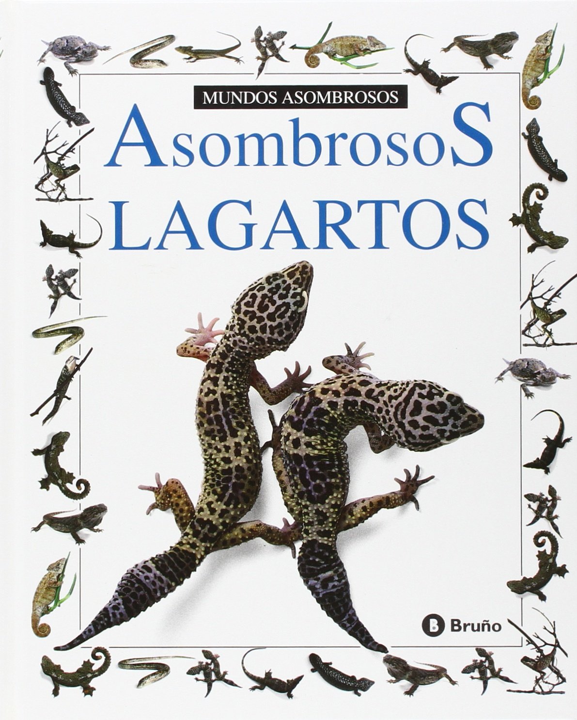 Asombrosas Lagartos/Amazing Lizards book