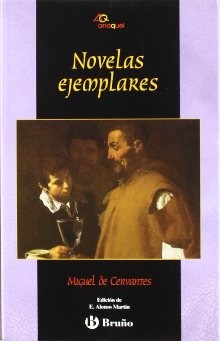 Novelas ejemplares / Exemplary Novels: Rinconete y Cortadillo & El Licenciado Vidriera & El Celoso Extremeno book