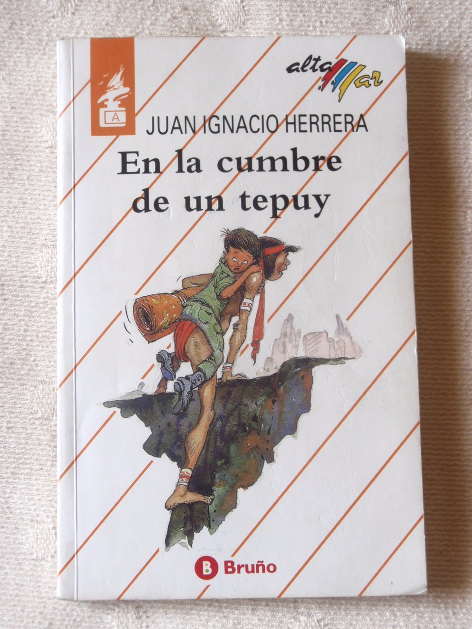 En la cumbre de un tepuy book