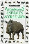 Asombrosos Animales Acorazados (Coleccion "Mundos Asombrosos"/Eyewitness Junior Series) Novels & Short Stories
