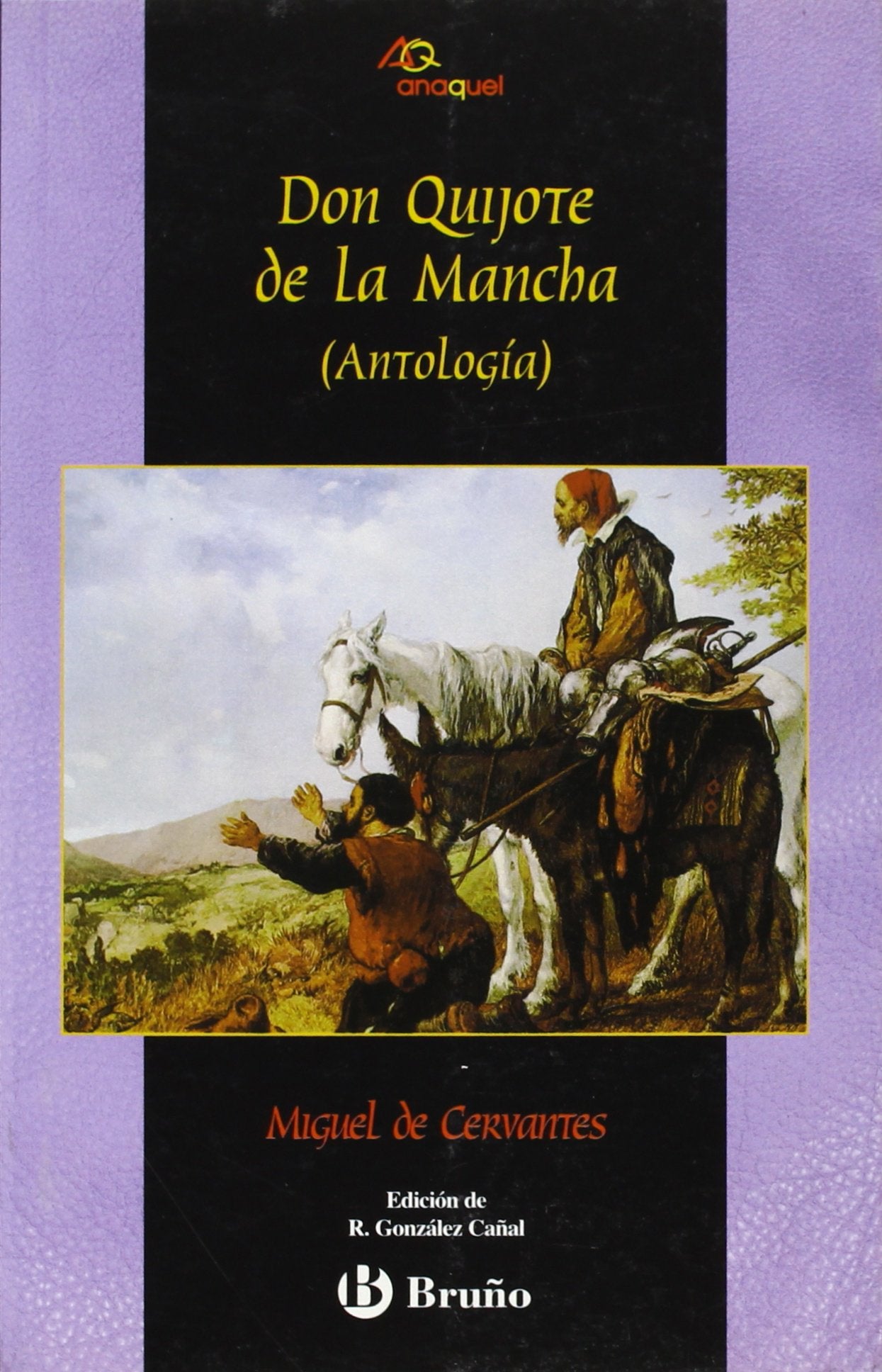 Antología del Quijote (Castellano - Bruño - Anaquel) Fiction