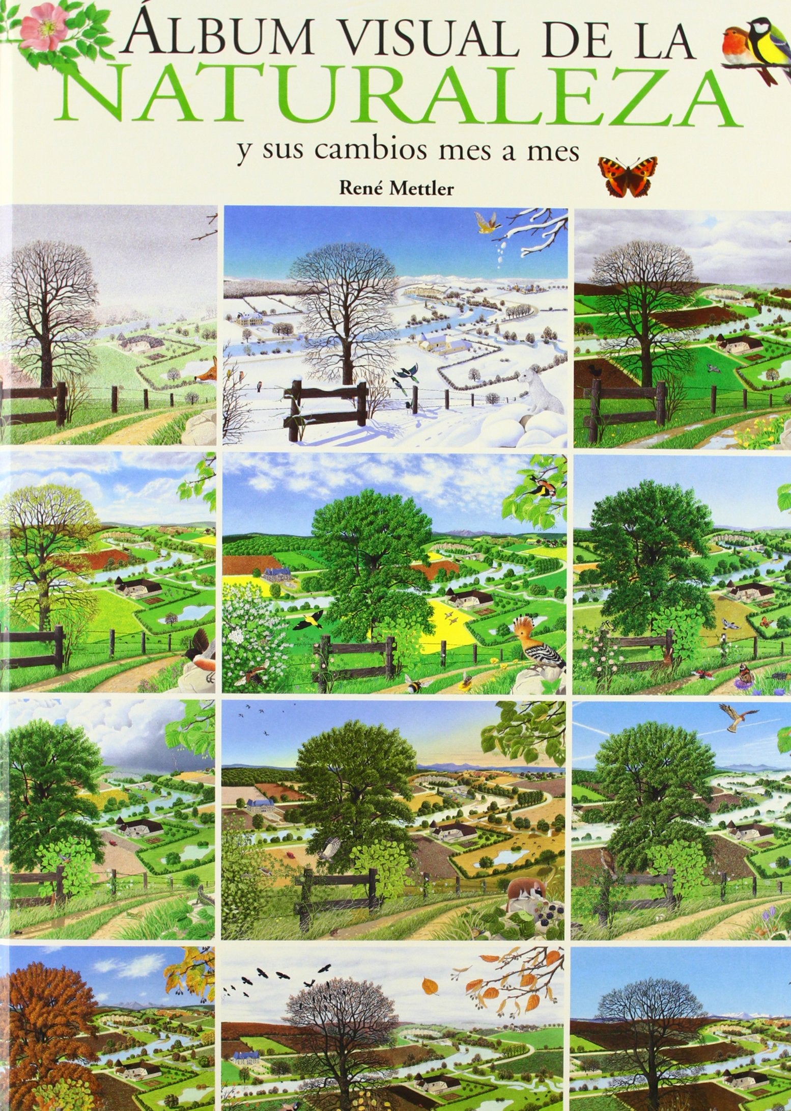 Álbum visual de la Naturaleza: y sus cambios mes a mes (Castellano - Bruño - Albumes - Albumes Visuales) Novels & Short Stories