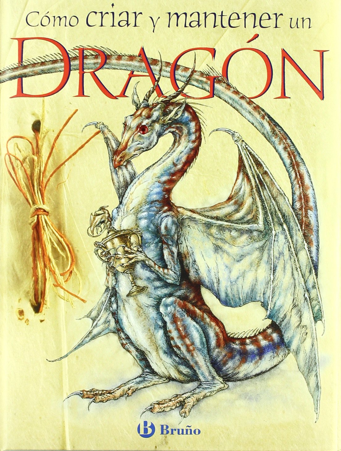 Cómo criar y mantener un dragón (Castellano - Bruño - Albumes - Albumes Deluxe) Novels & Short Stories