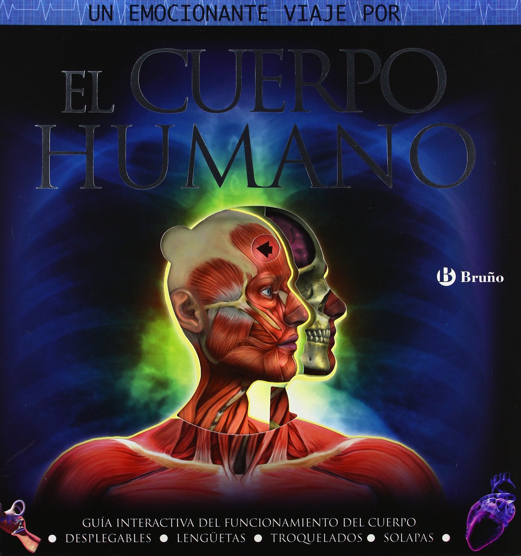 El cuerpo humano : guía interactiva del funcionamiento del cuerpo Comics & Mangas