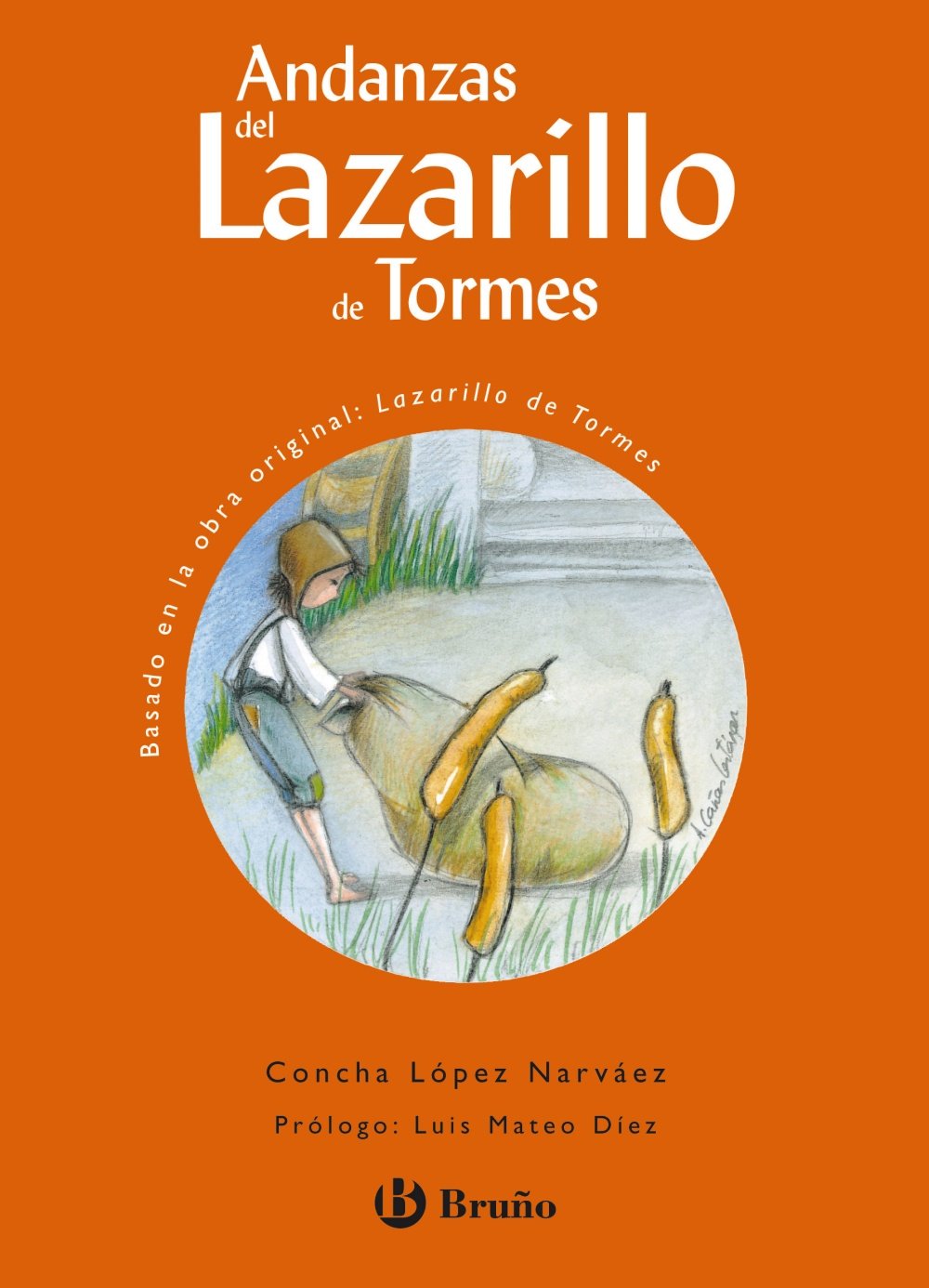 Andanzas del Lazarillo de Tormes (Castellano - A PARTIR DE 10 AÑOS - ANDANZAS) Novels & Short Stories