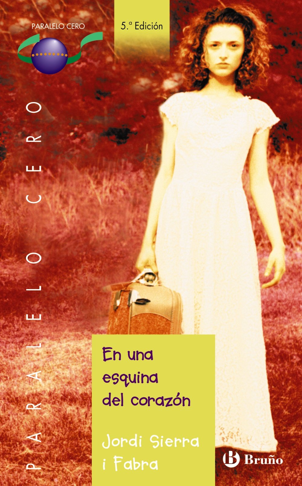 En una esquina del corazón (Castellano - JUVENIL - PARALELO CERO) Fiction books for children