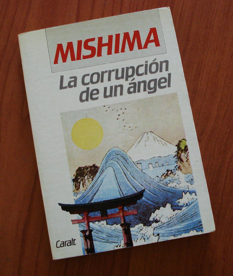 LA Corrupcion De UN Angel/the Decay of the Angel Contemporary literature
