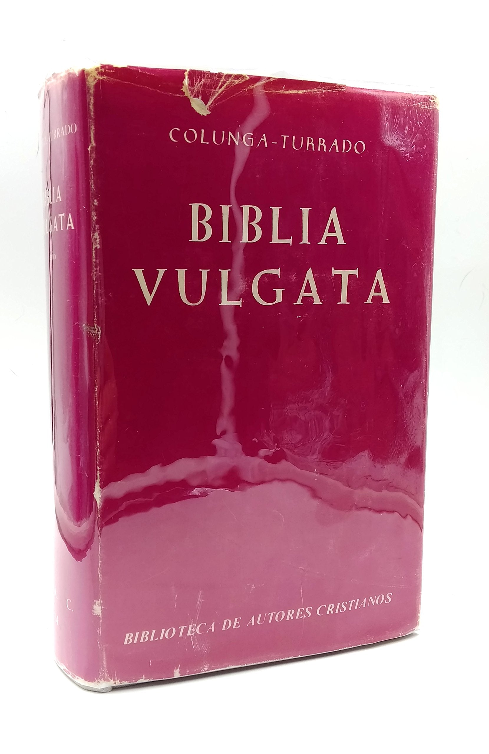 Biblia vulgata latina book