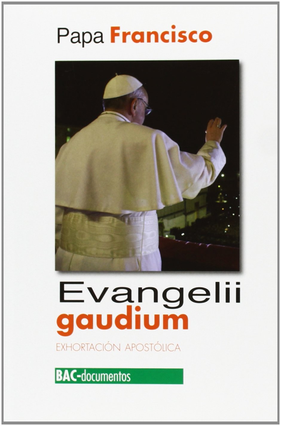 Evangelii gaudium : exhortación apostólica sobre el anuncio del evangelio en el mundo de hoy Books