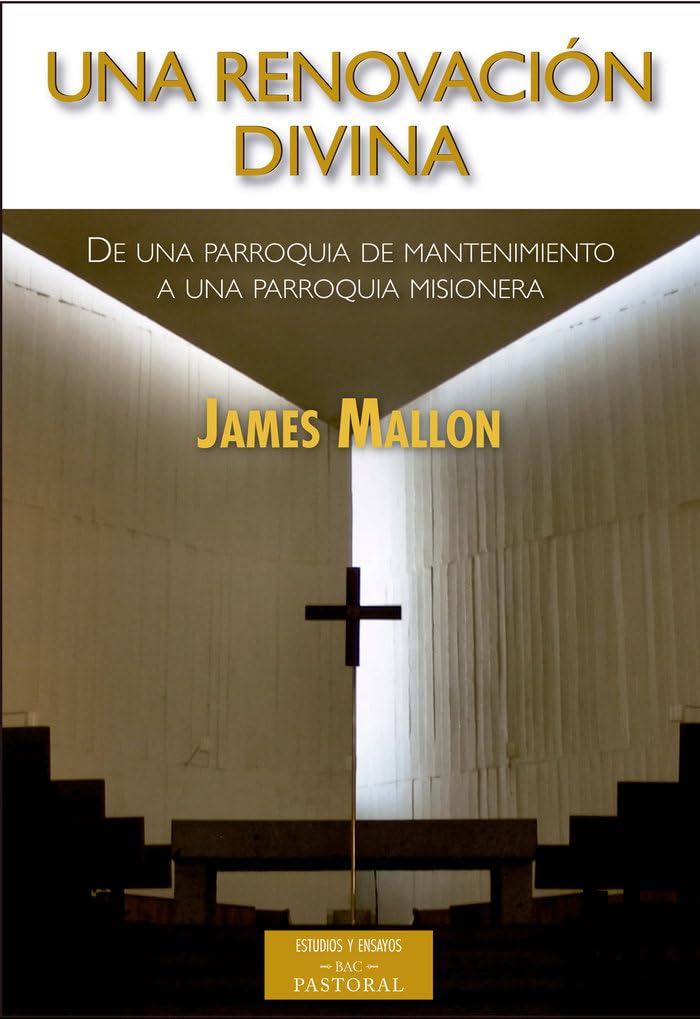 Una renovación divina : de una parroquia de mantenimiento a una parroquia misionera Social Sciences
