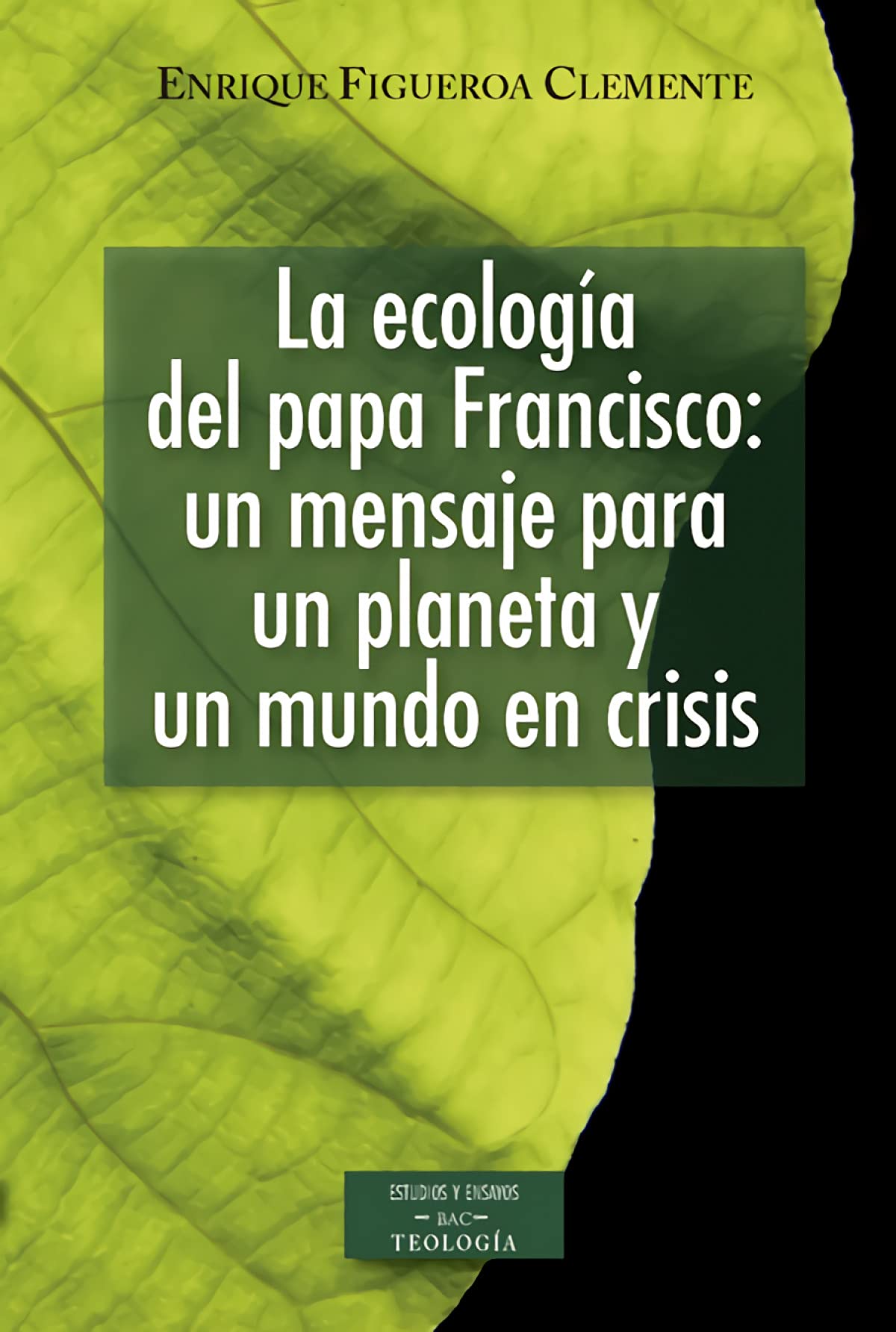 La ecología del Papa Francisco : un mensaje para un planeta y un mundo en crisis : reflexiones ecológicas sobre la carta encíclica "Laudato si'" sobre ... la casa común (ESTUDIOS Y ENSAYOS, Band 197) Books