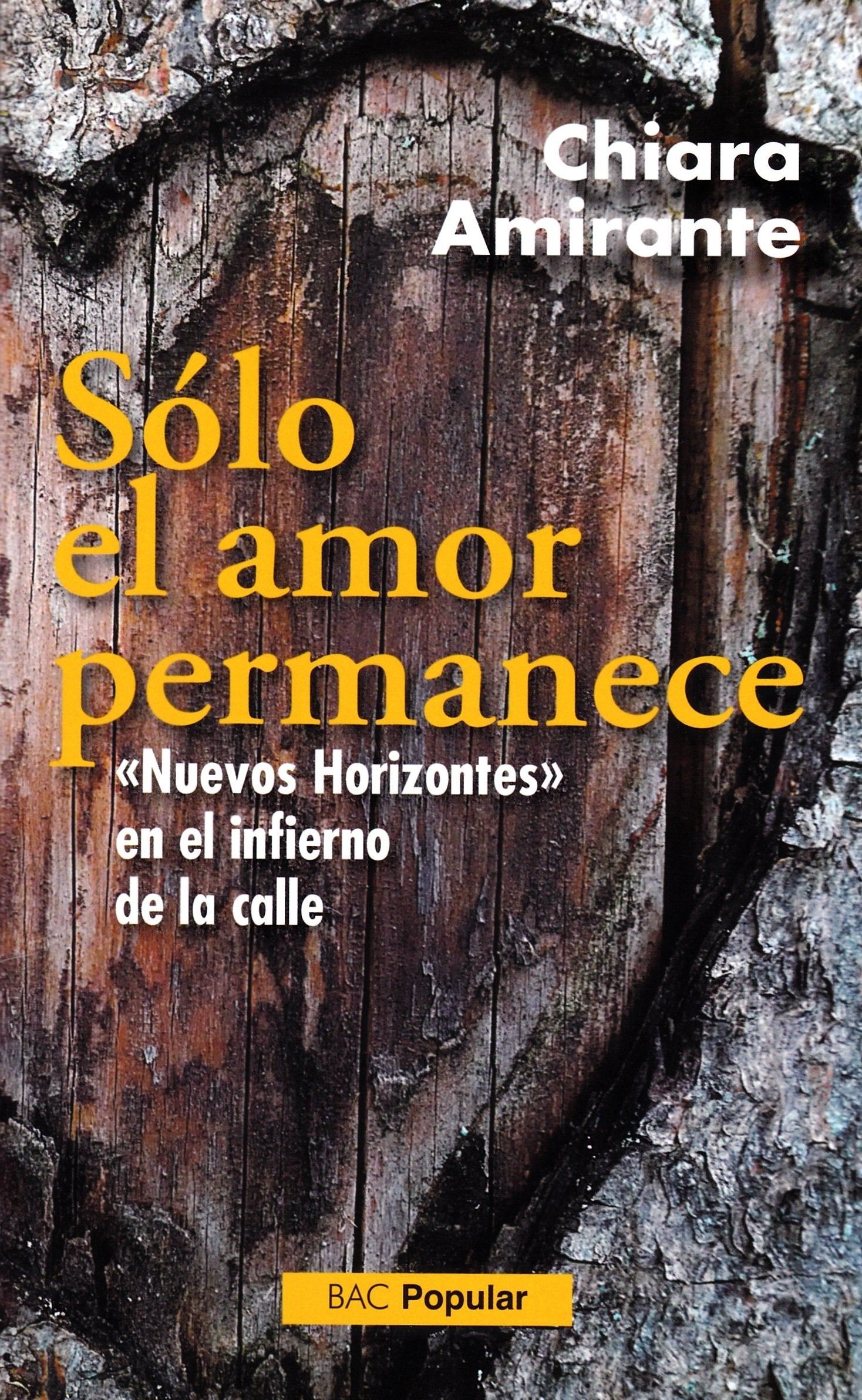 Sólo el amor permanece : "nuevos horizontes" en el infierno de la calle book