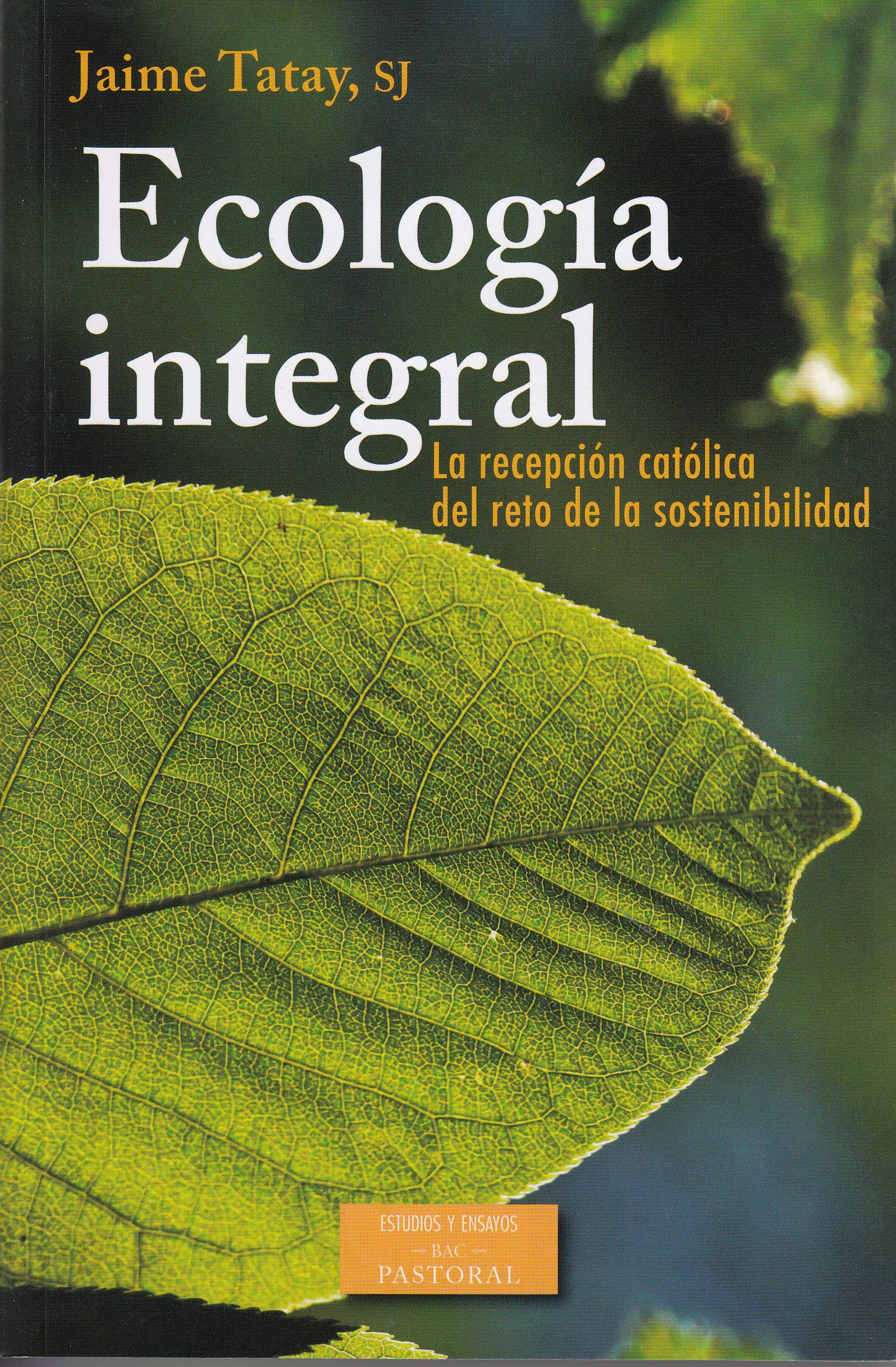 Ecología integral : la recepción católica del reto de la sostenibilidad : 1891 (RN)-2015 (LS) Natural Sciences