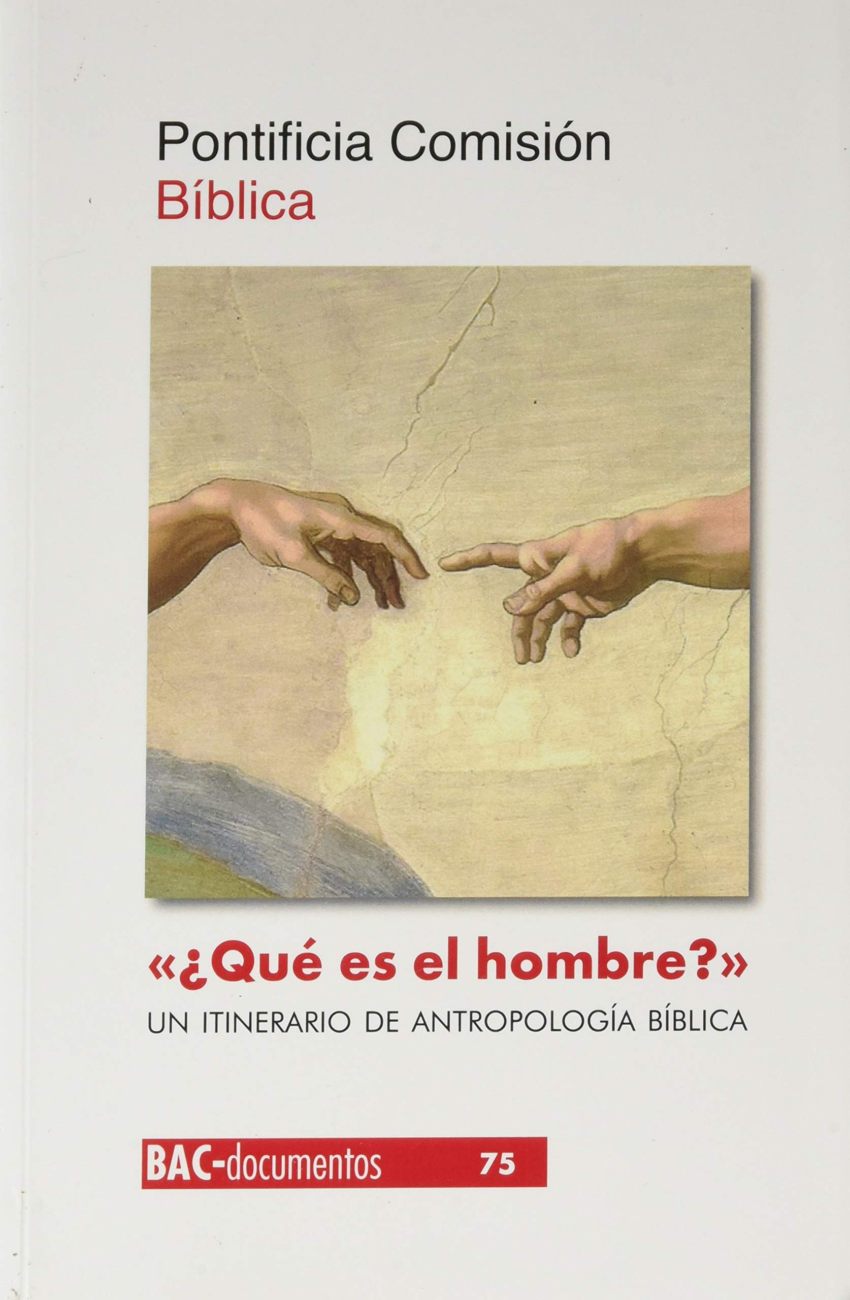 "¿Qué es el hombre?" (Sal 8,5). Un itinerario de antropología bíblica book
