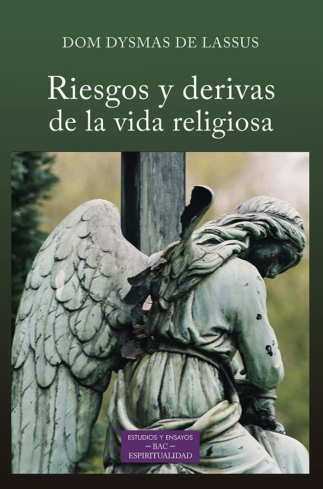 Riesgos y derivas de la vida religiosa (ESTUDIOS Y ENSAYOS, Band 264) Religion & Esotericism