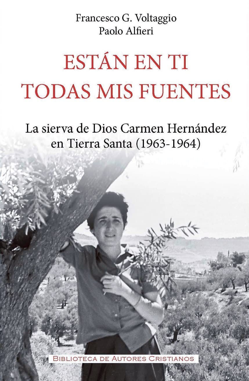 Están en ti todas mis fuentes: La sierva de Dios Carmen Hernández en Tierra Santa (1963-1964) (FUERA DE COLECCION, Band 159) Politics & Society Books