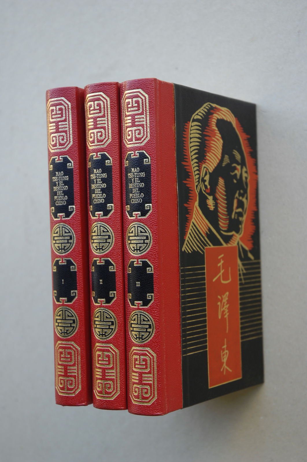 Mao Tse-Tung y el destino del pueblo chino (3 vols.) book