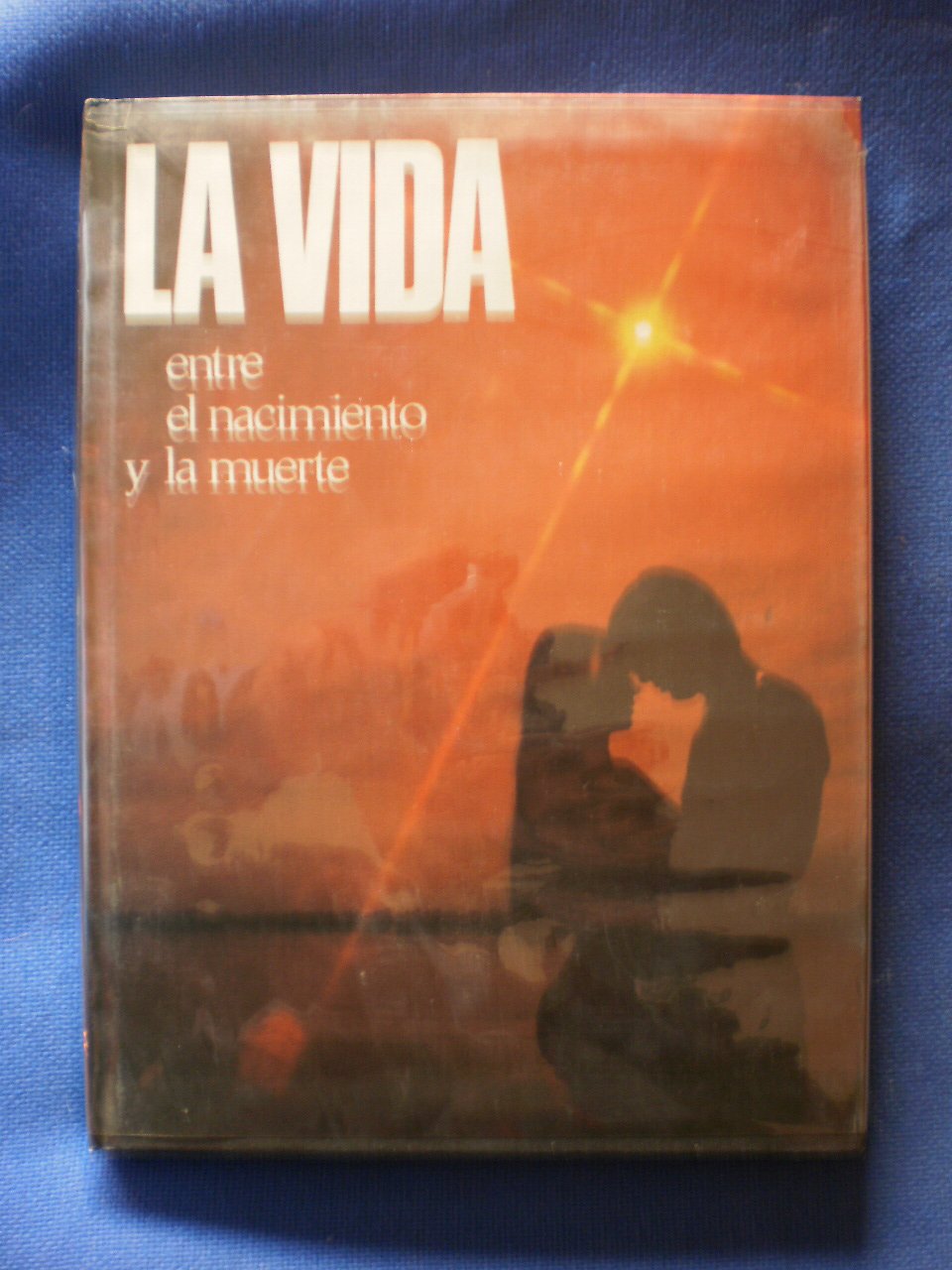 LA VIDA entre el nacimiento y la muerte book