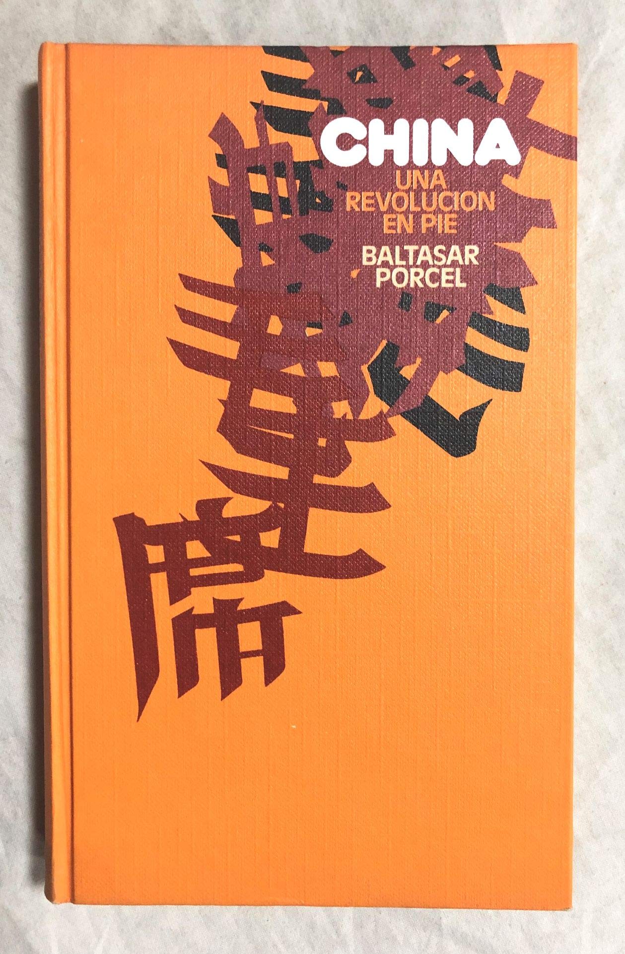 CHINA: UNA REVOLUCIÓN EN PIE book