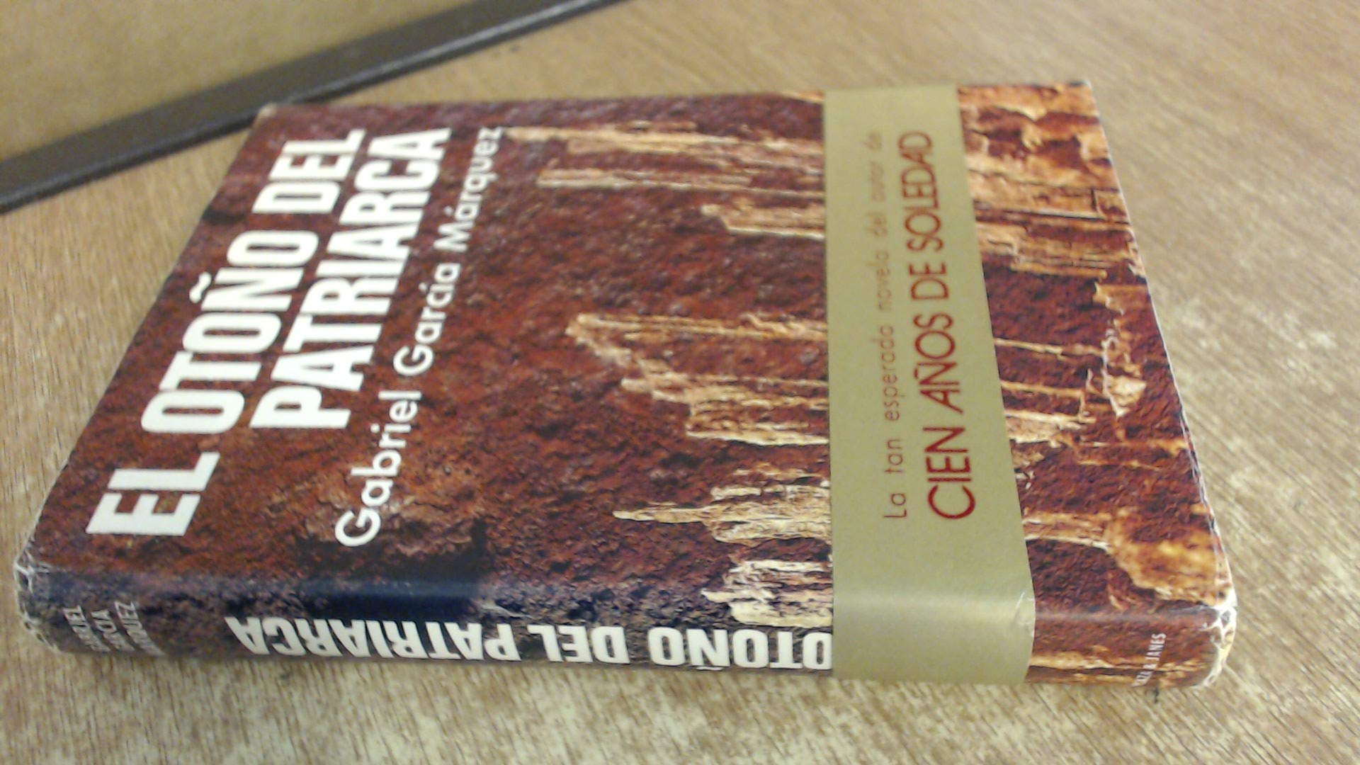 El Otono Del Patriarca Books
