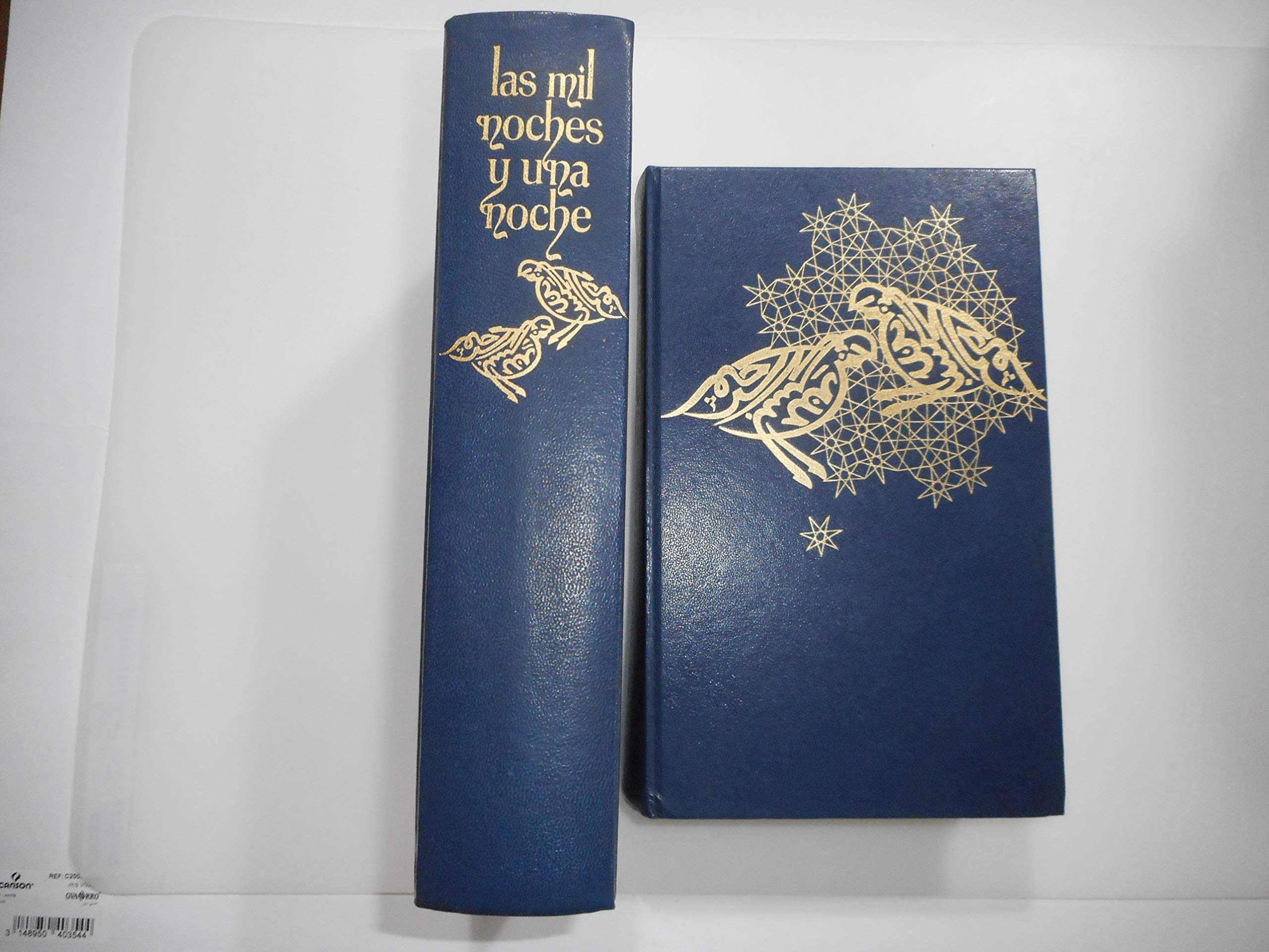 EL LIBRO DE LAS MIL Y UNA NOCHES (2 TOMOS). book