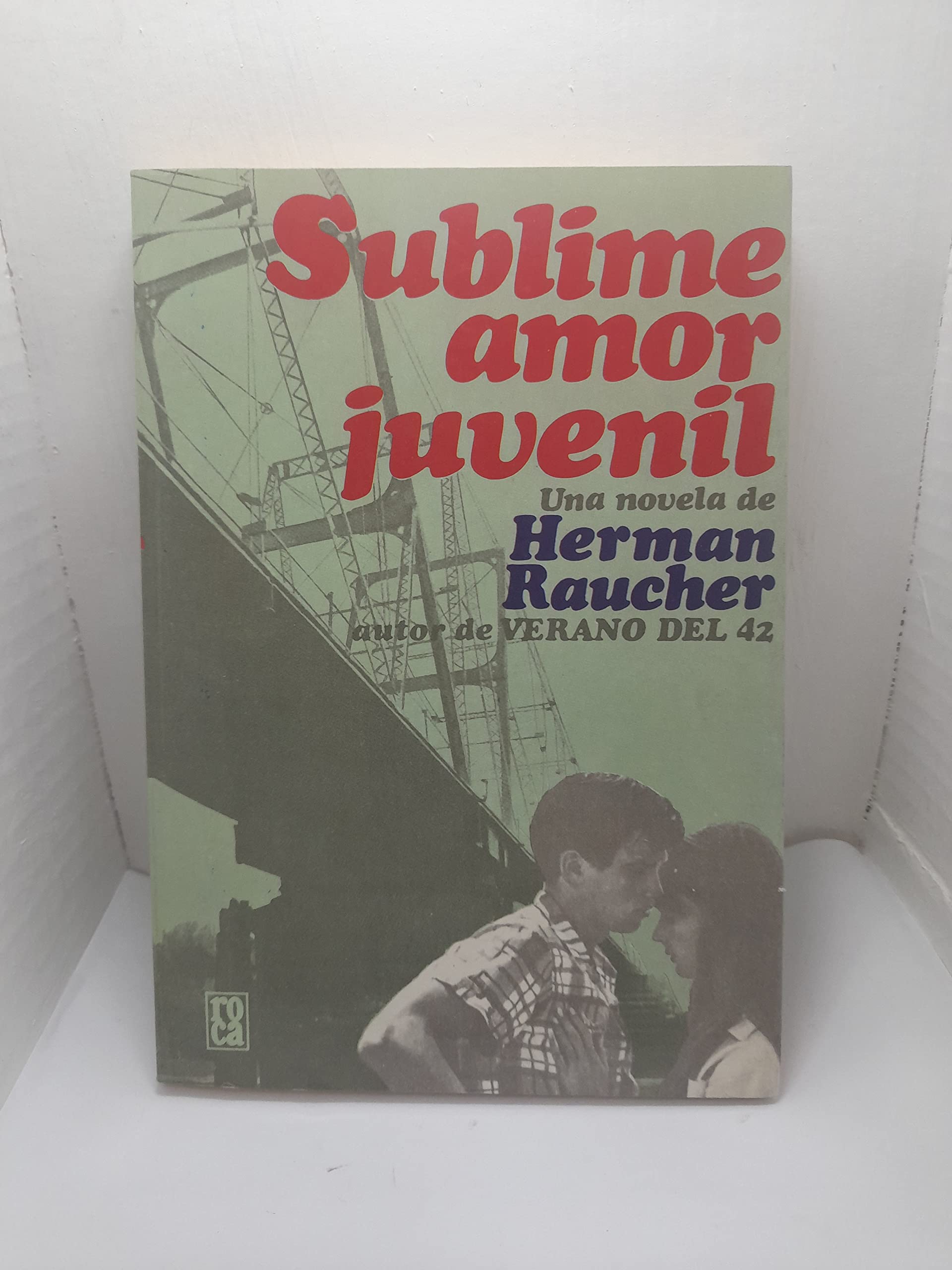 Sublime amor juvenil: (historia de una rebelde) book